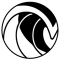 Old Surf Dad shop logo